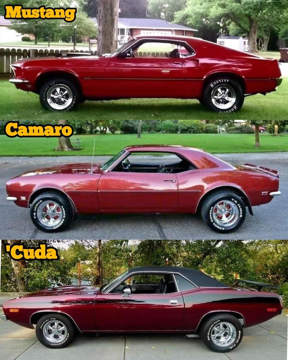 Col2Vintage's tweet photo. Top, Middle or Bottom 🤔 https://t.co/GXyR0MySBB
