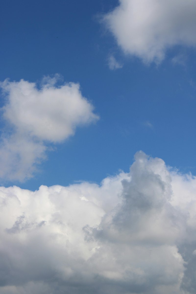 Danhya Calderón🌸 tweet media