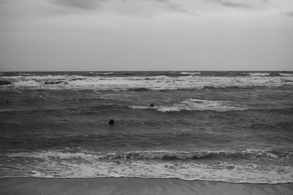 joseph yang tweet media