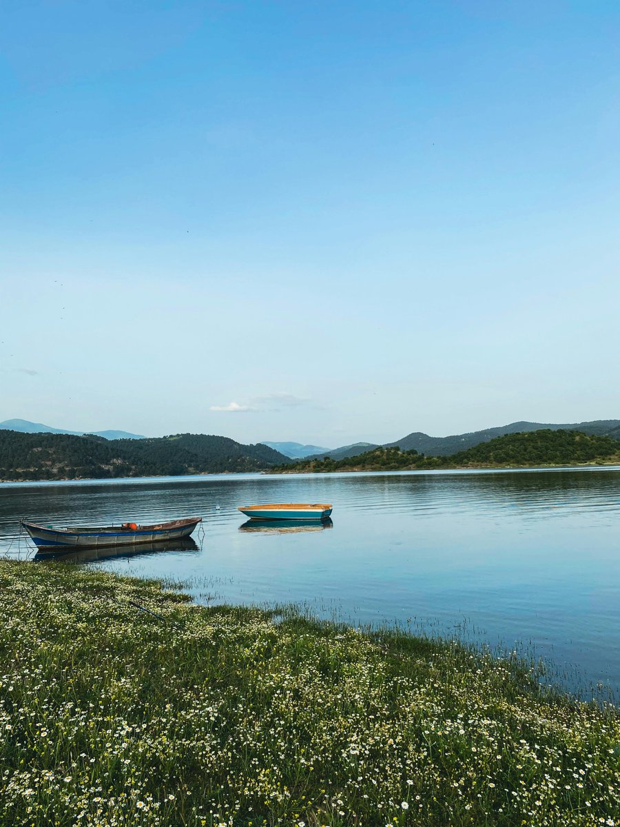 joseph yang tweet media