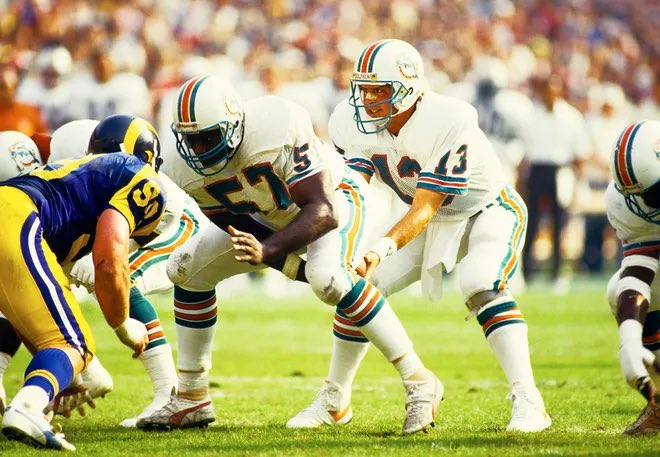 Dolphins Muse tweet media