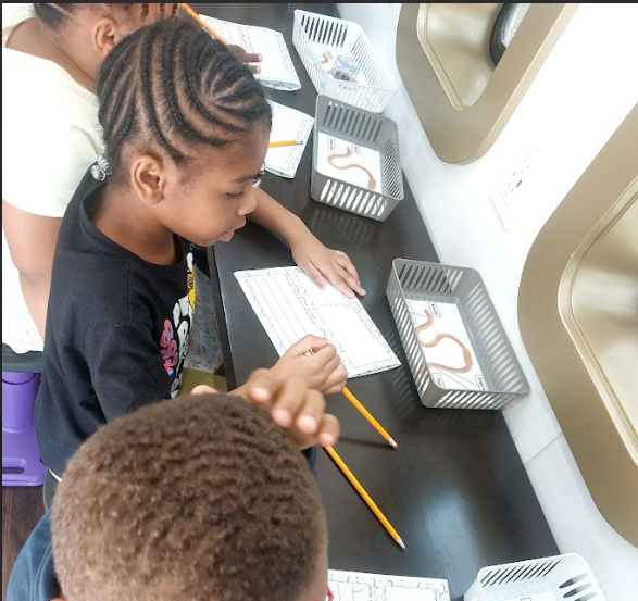 teachingmuseum's tweet photo. 🌼🪱 From roots to worms, every question planted helped grow new knowledge. Thank you to the amazing 1st graders at Wolf Creek ES for exploring with the STEAMbus! 🚍💚@WolfCreekWolves @FultonSchools https://t.co/9NDmNrfYGu