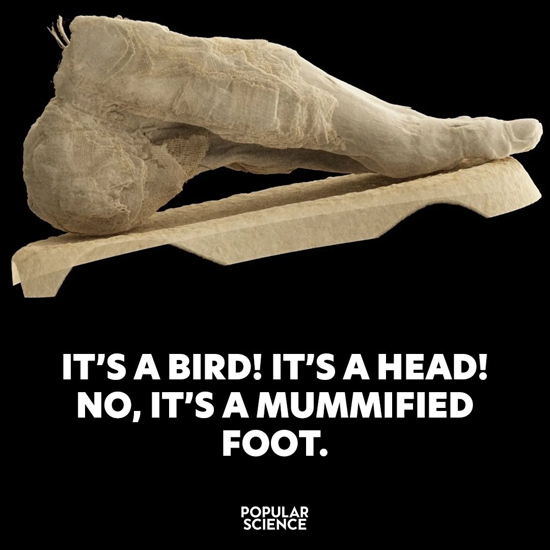 Popular Science tweet media