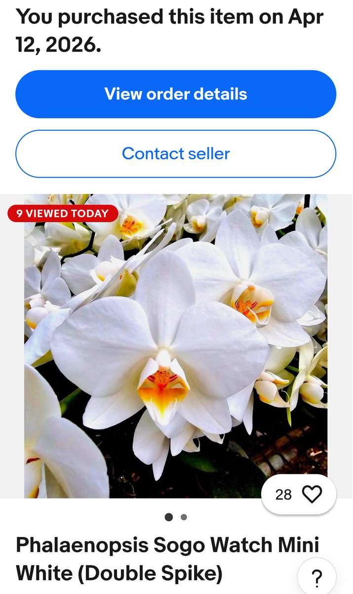 Orchiholism tweet media