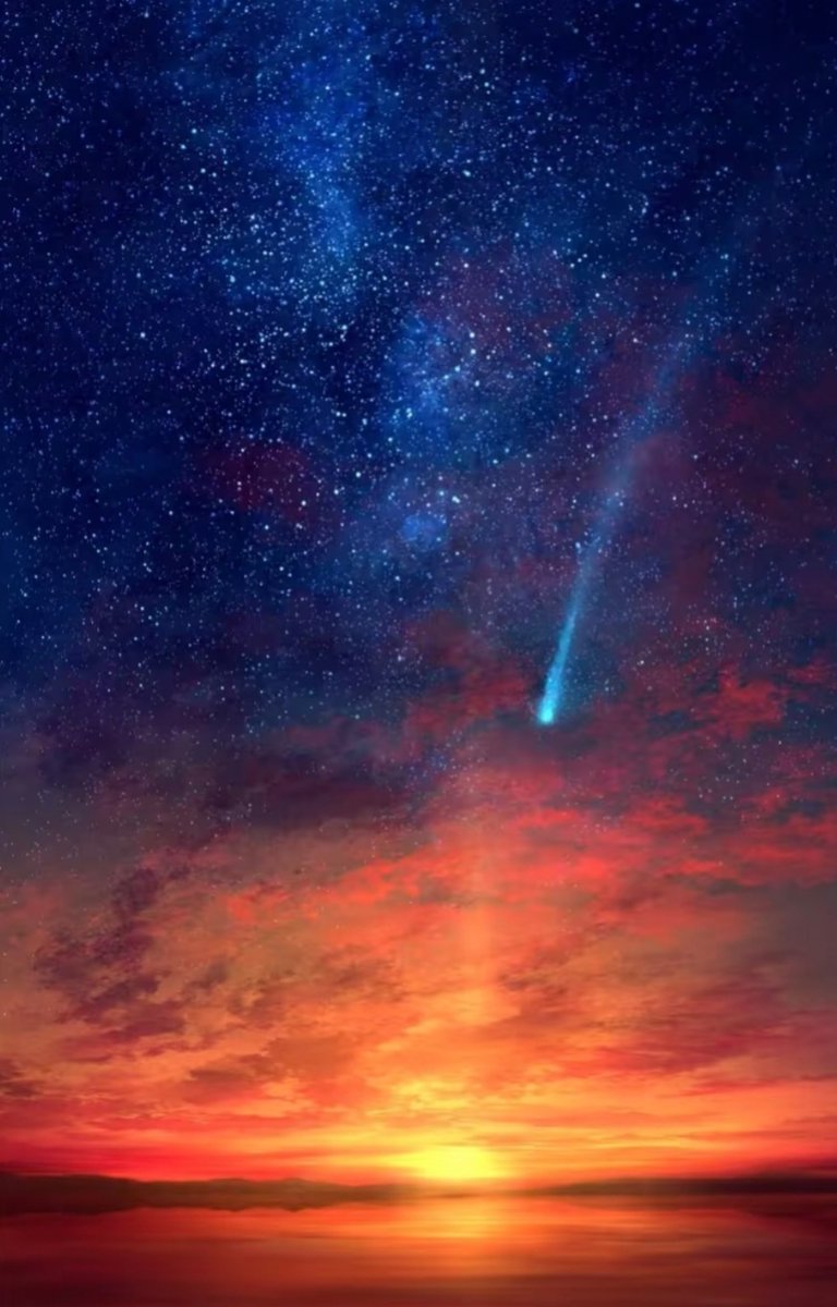 Diane D. tweet media