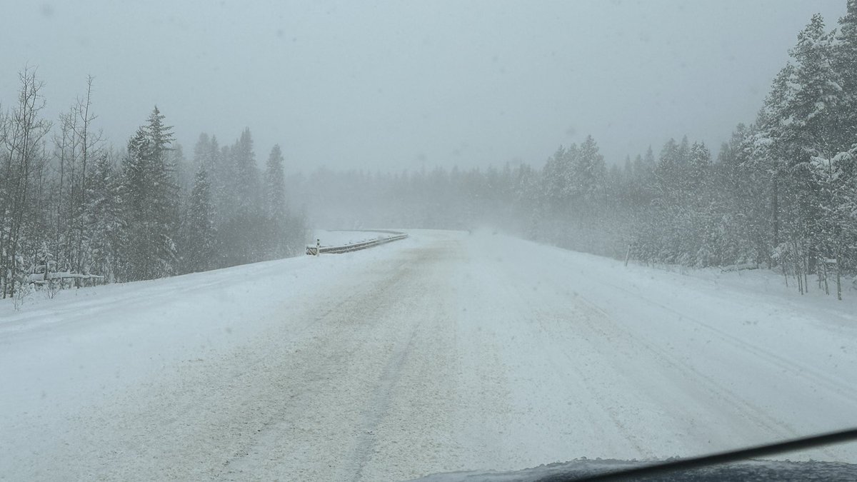 Michael Thomlinson tweet media