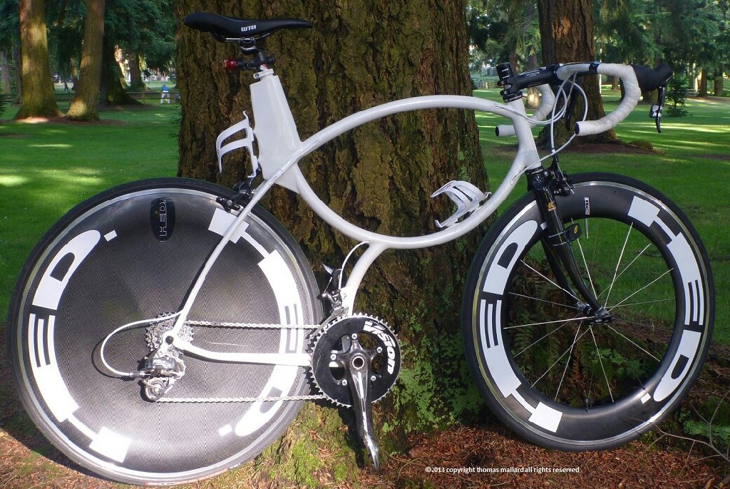 tmallard tweet media