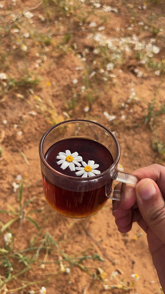 عبدالعزيز tweet media