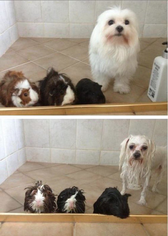 권준영 tweet media