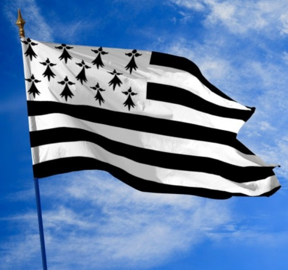 Medoz Denis 🔻 tweet media