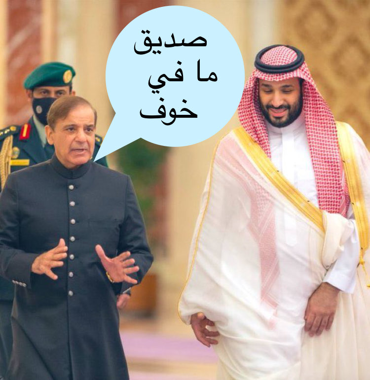 صقر الجنوب tweet media