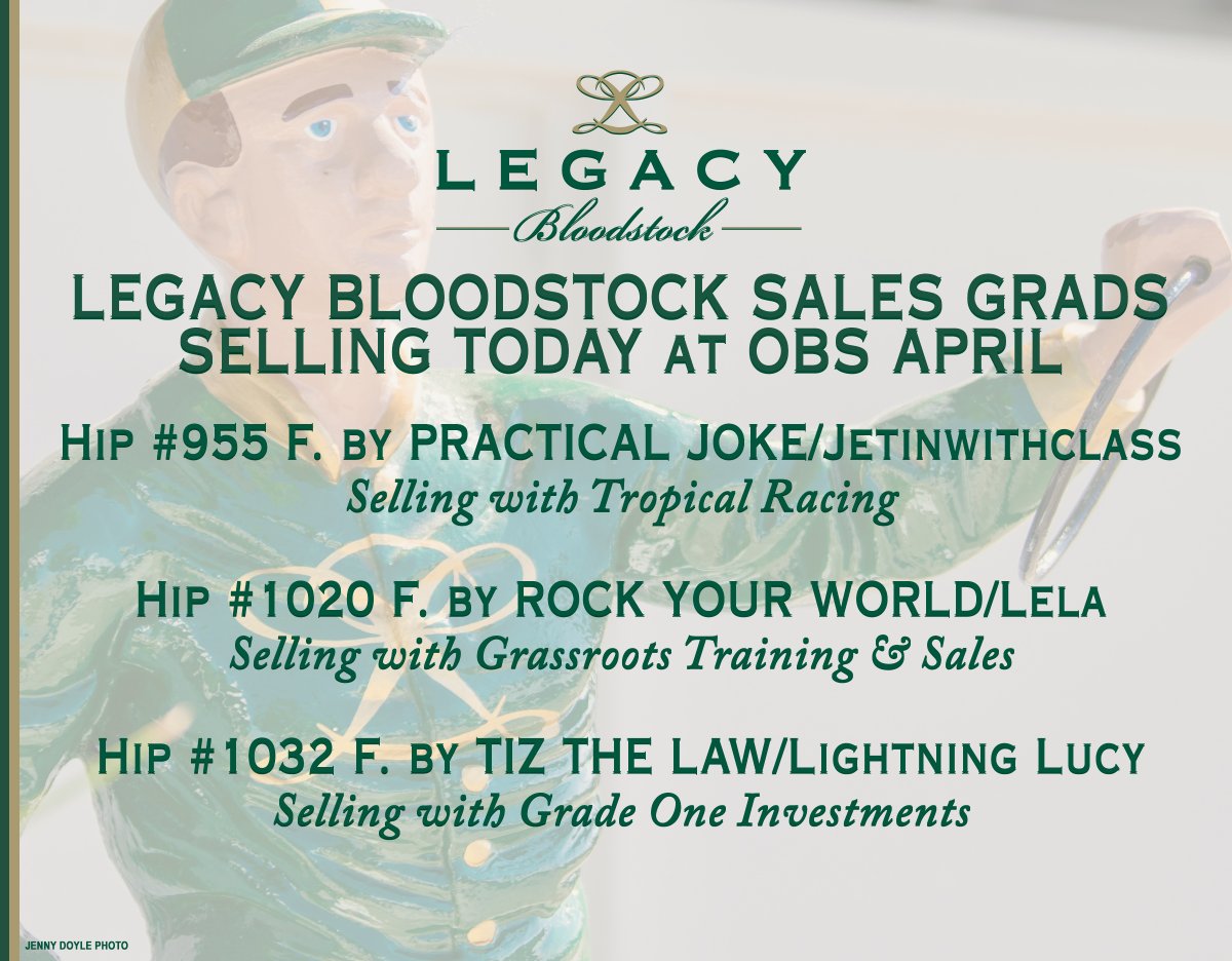 legacybloodstoc's tweet image. 🍀 Best of luck to all the consignors reselling #LegacyBuilders 🏇 🏆 on the final day of the @OBSSales April sale!
🟨 🟩 #OBSApril