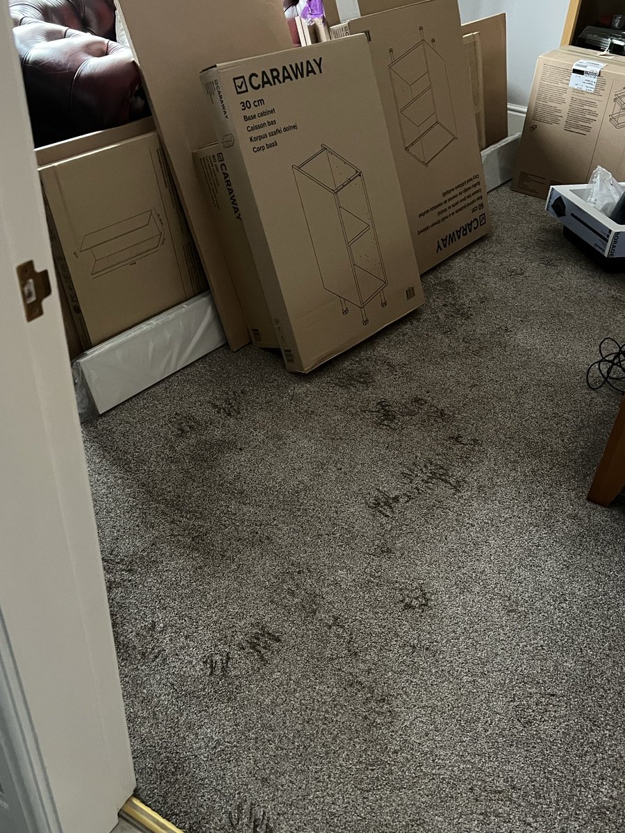 1d4wso's tweet photo. @bandqhelpTeam damage cause by your delivery driver, 7 weeks later no response yet you say your dedicated to resolving issues https://t.co/19qqkmrBOO