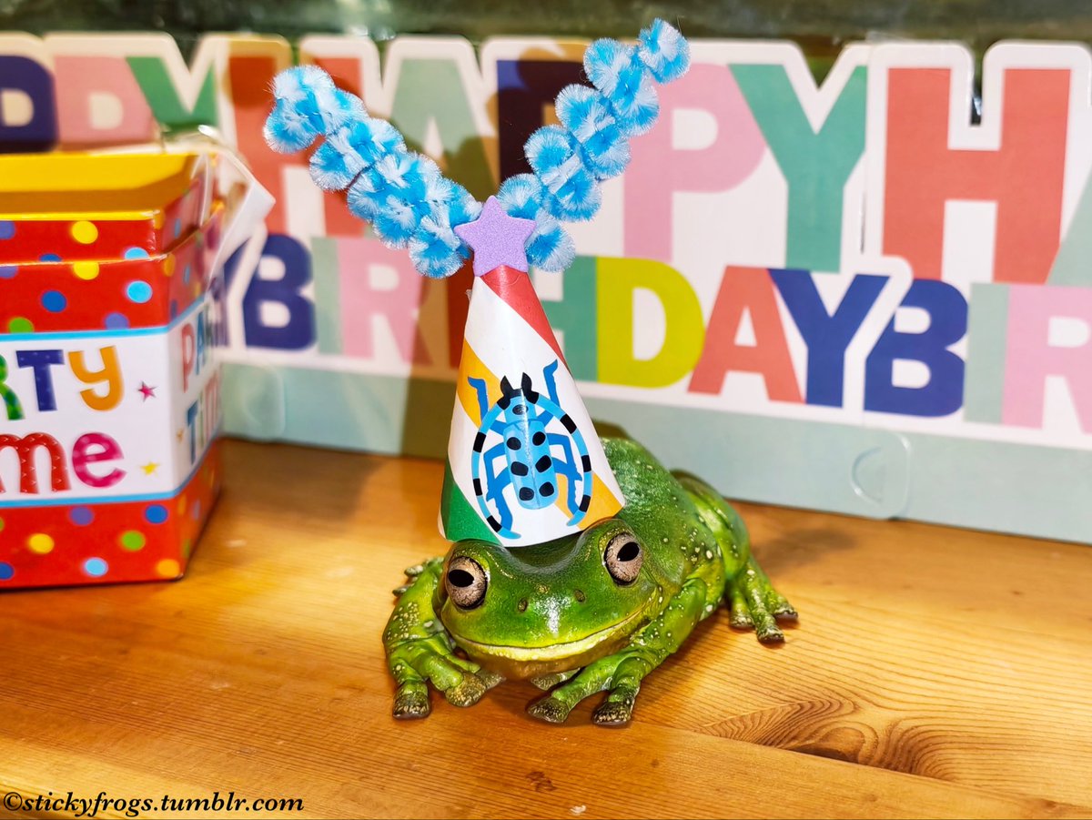 Sticky Frogs tweet media