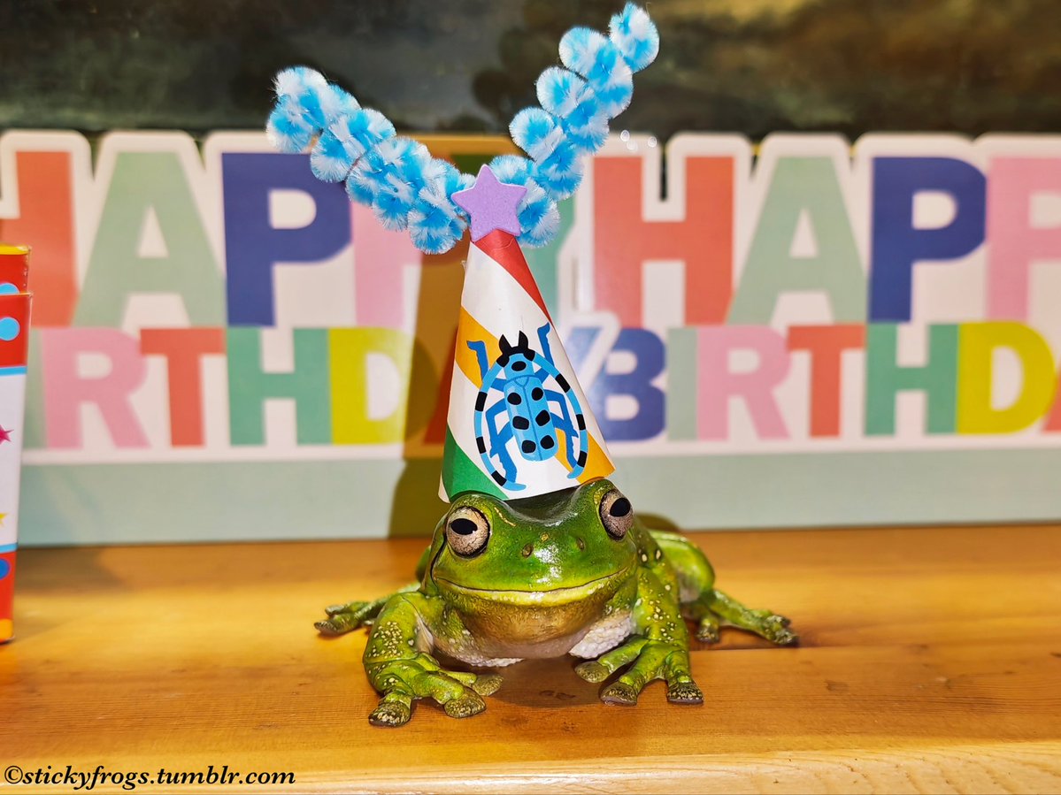 Sticky Frogs tweet media