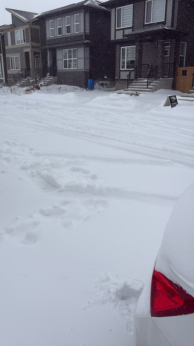 ൱𝑜𝑜𝓃𝓎 tweet media