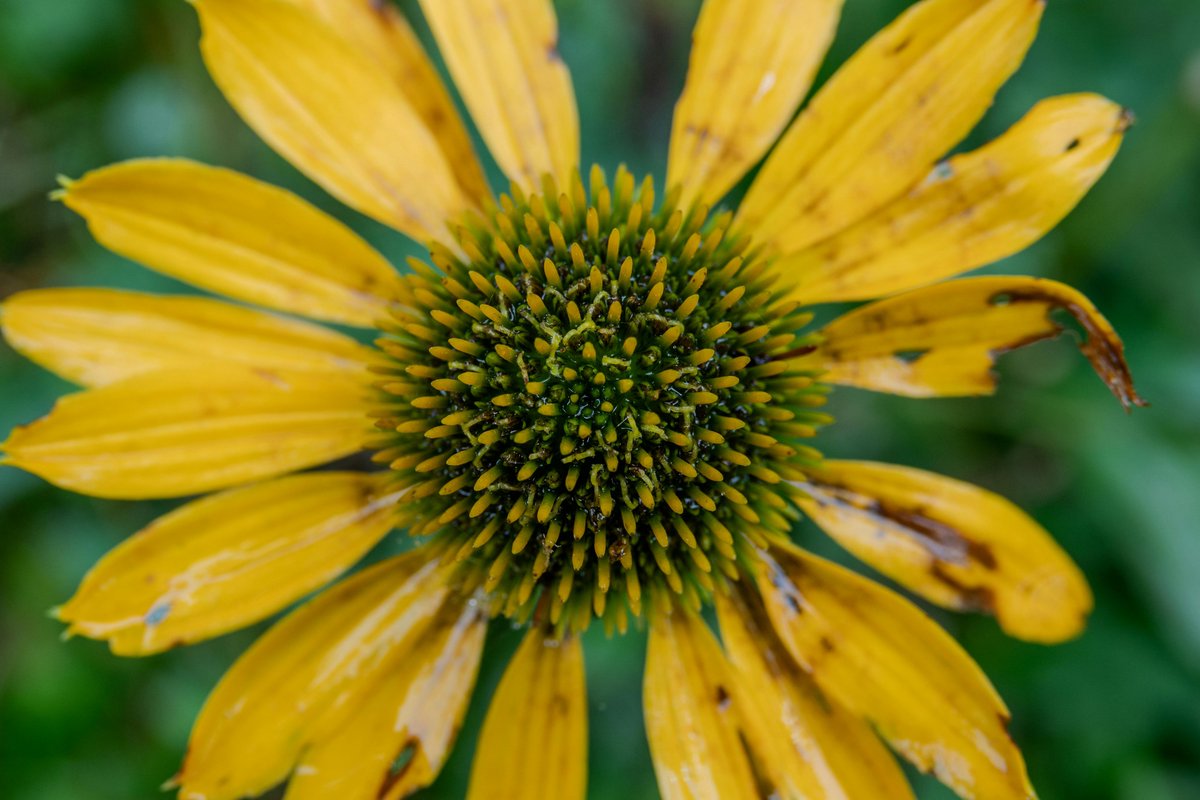 جودز،،💓 جودز،،💓 tweet media