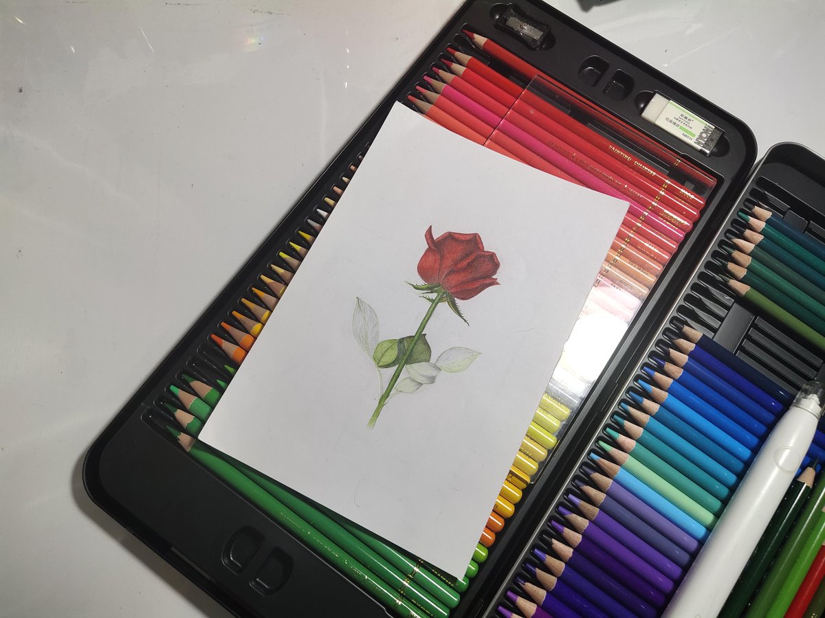 Yusuf erenErdoğan tweet media