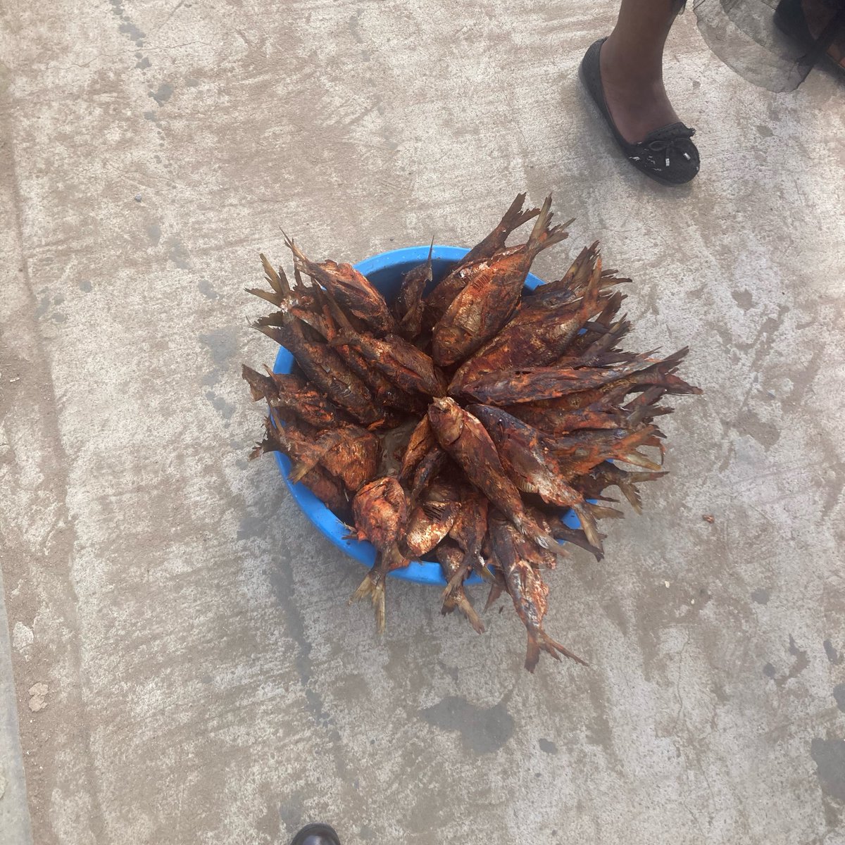 NGADOM Tchaleu tweet media