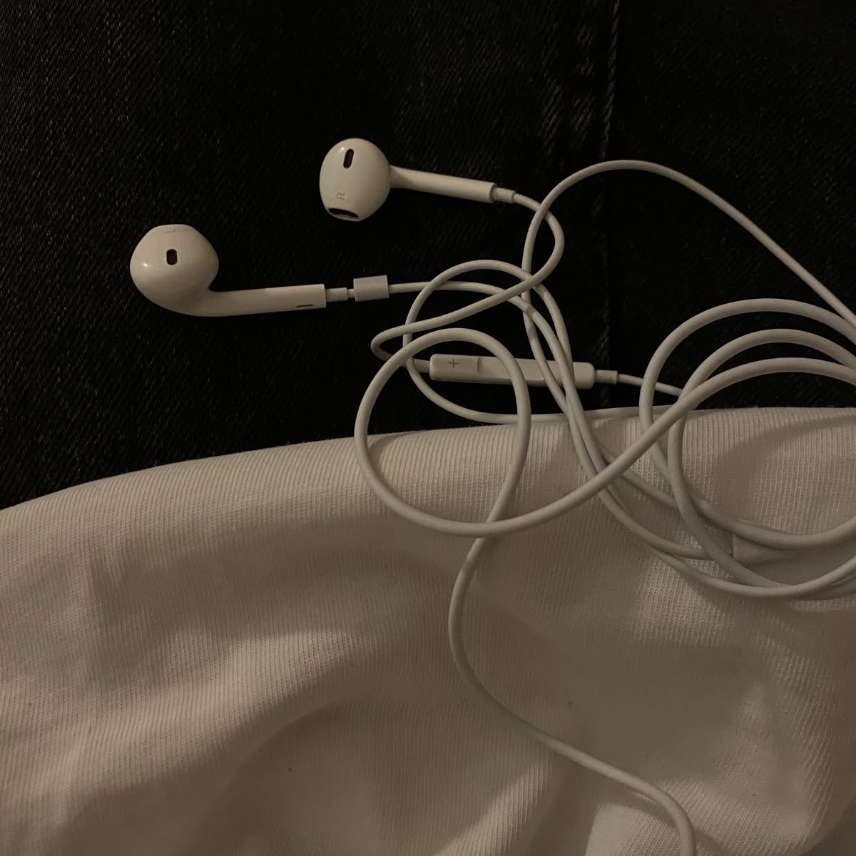 𝐄𝐥𝐥𝐲 ᶜʳᶠ tweet media