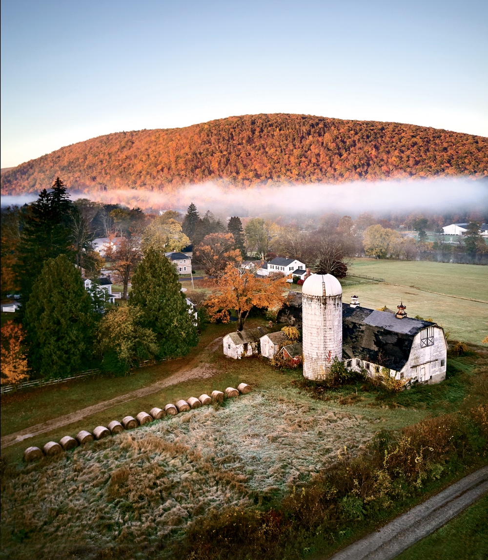 David Scott Harris tweet media