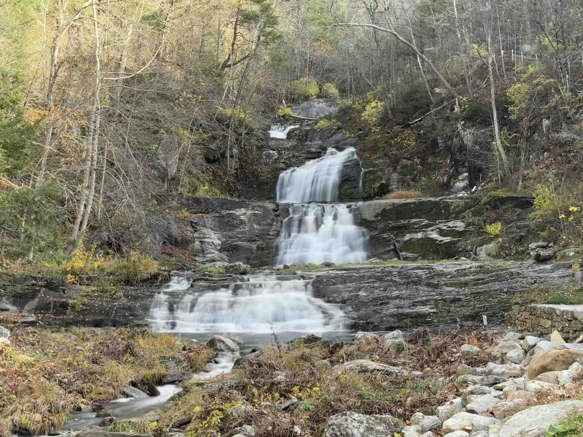 David Scott Harris tweet media