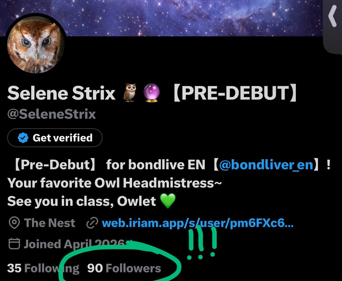 Selene Strix 🦉🔮【PRE-DEBUT】 tweet media