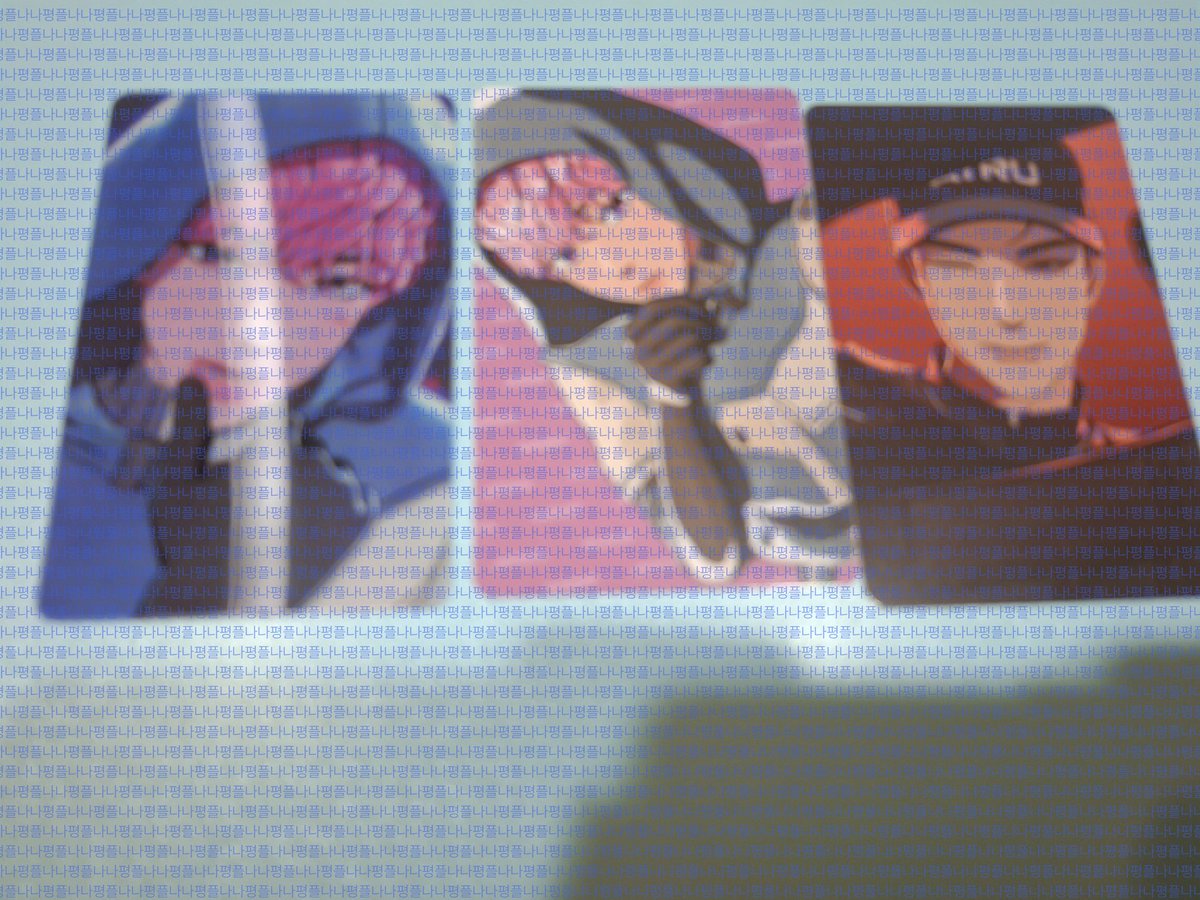 나나 평플 쿼카2 tweet media