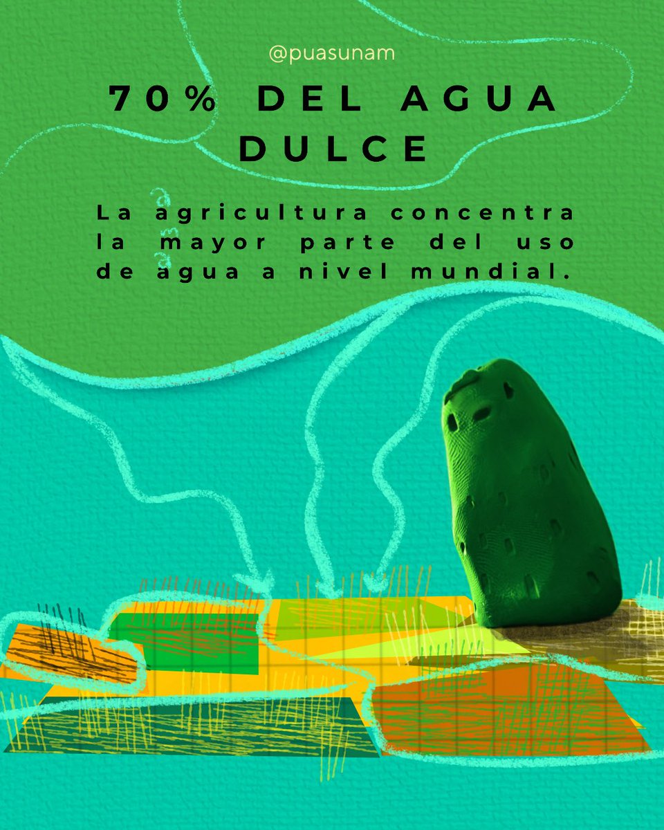 Alimentación Sostenible UNAM tweet media