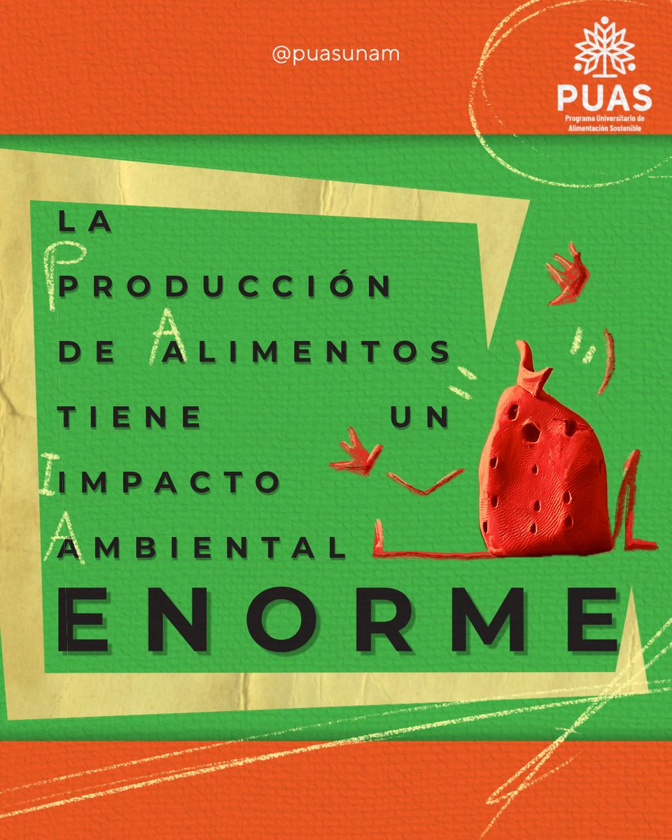 Alimentación Sostenible UNAM tweet media