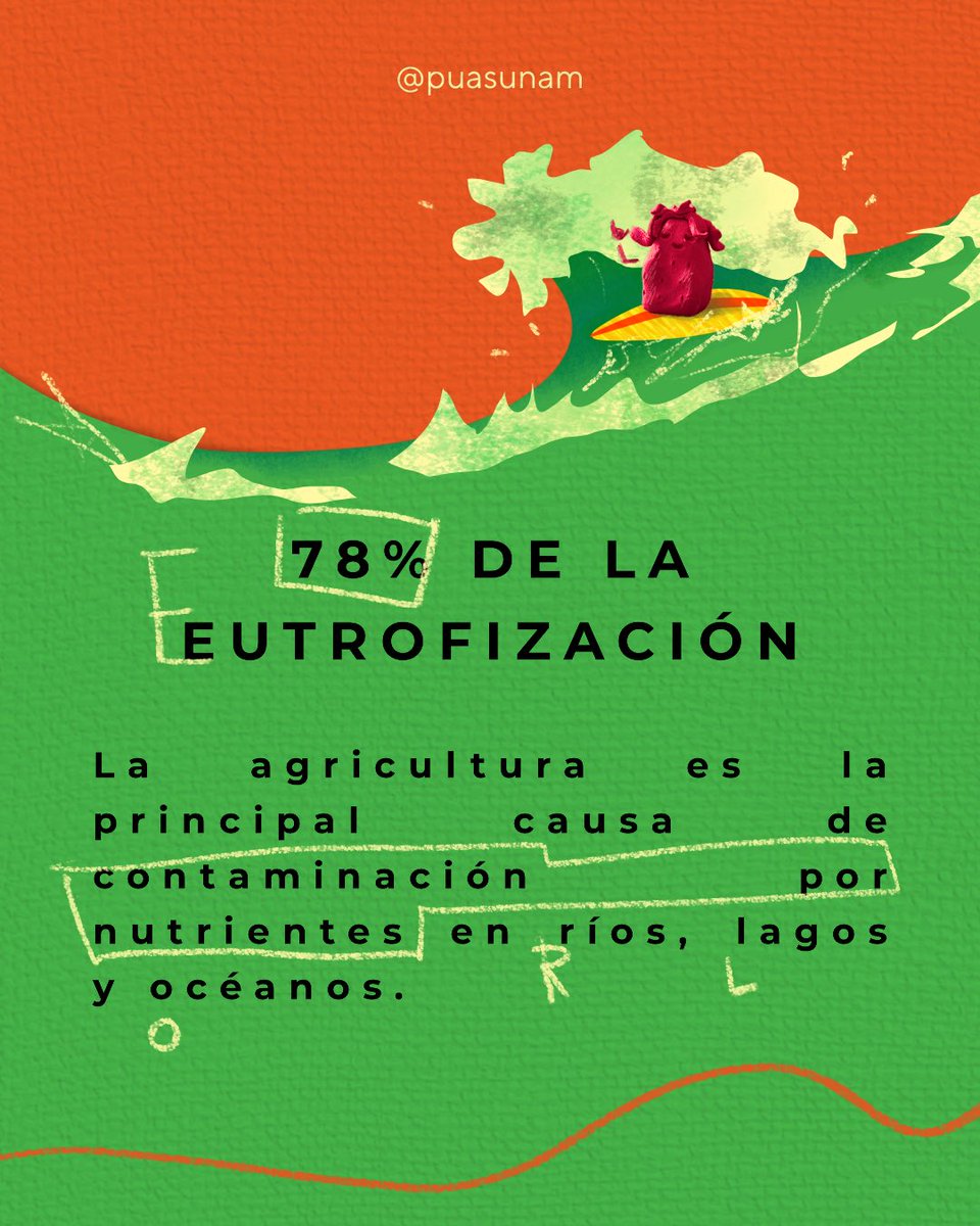 Alimentación Sostenible UNAM tweet media