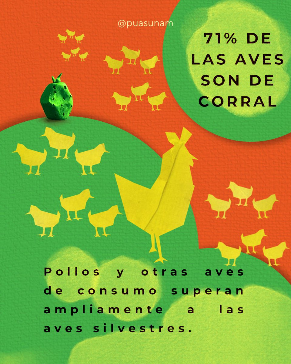 Alimentación Sostenible UNAM tweet media