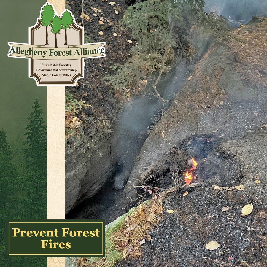 AFAAction tweet media