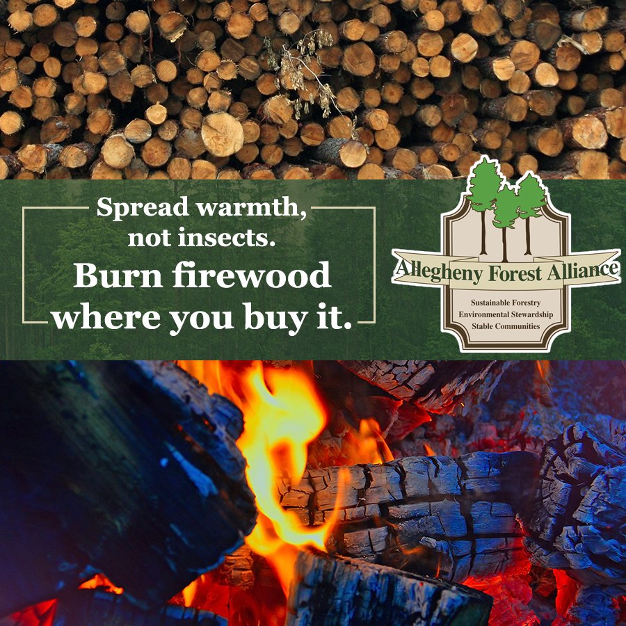 AFAAction tweet media