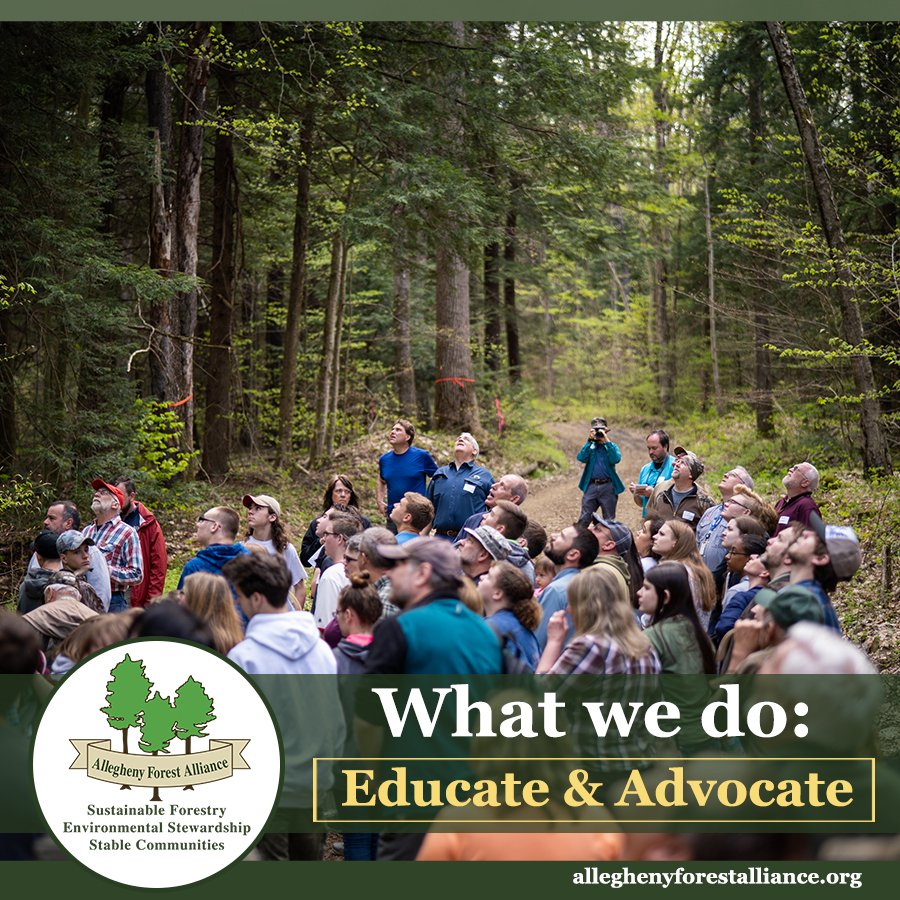 AFAAction tweet media