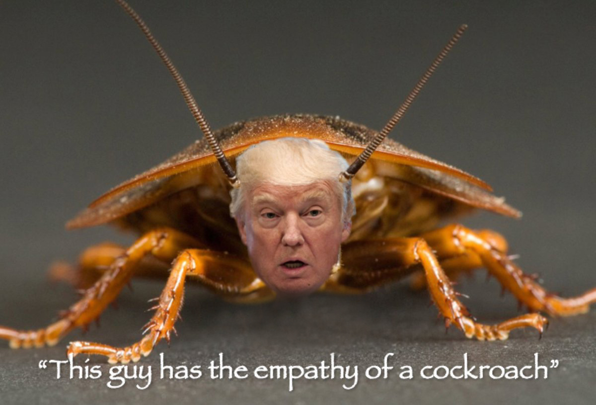 Santi Rivera D. tweet media