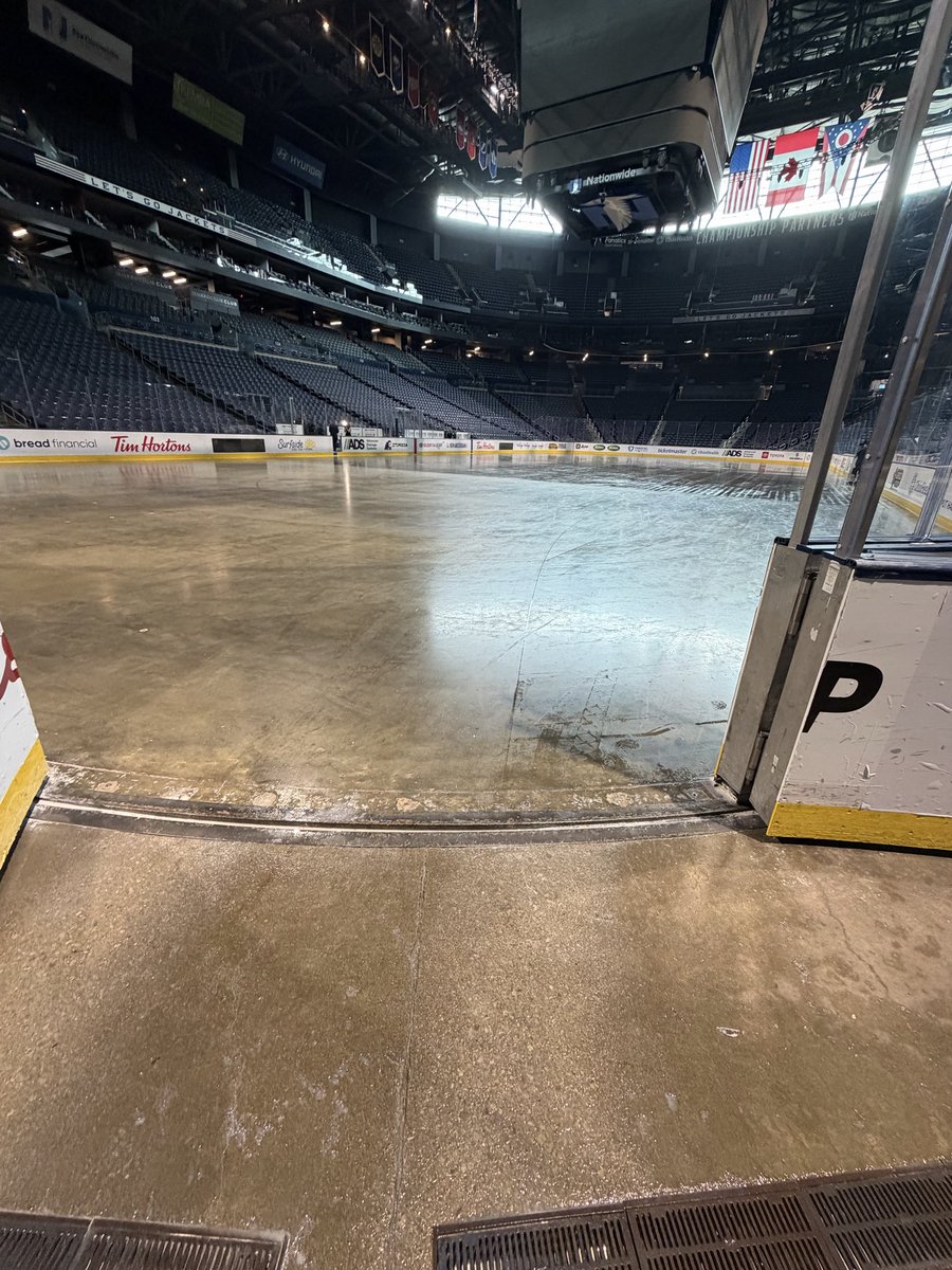 Mark Scheig tweet media