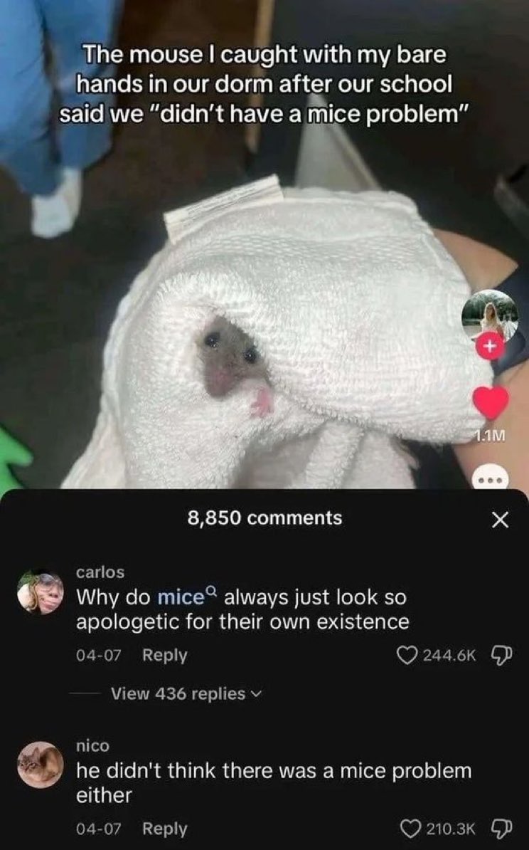 insane internet posts tweet media