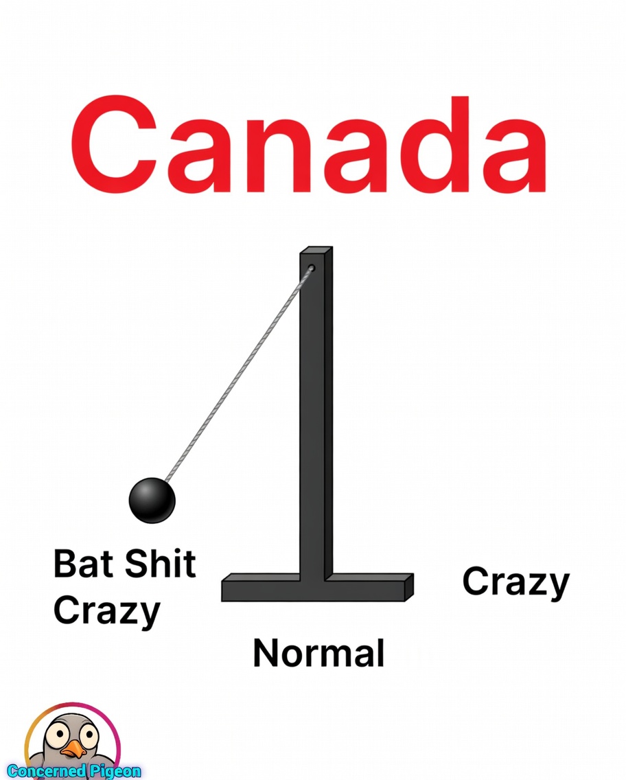 Concerned Pigeon tweet media