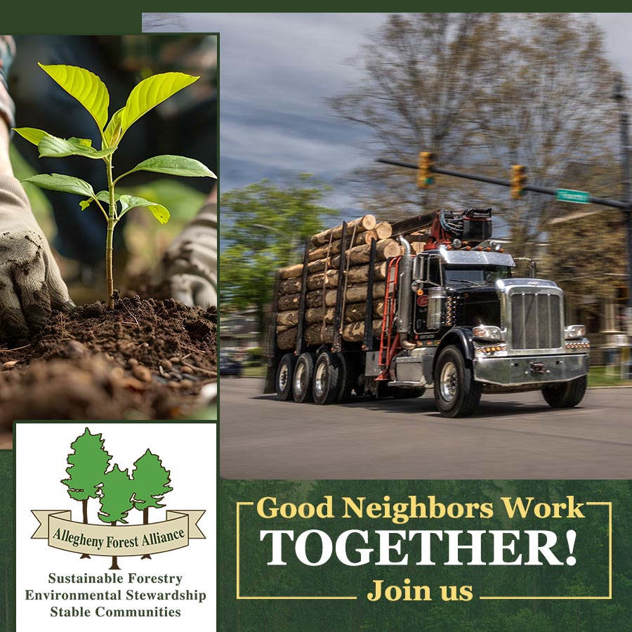 AFAAction tweet media