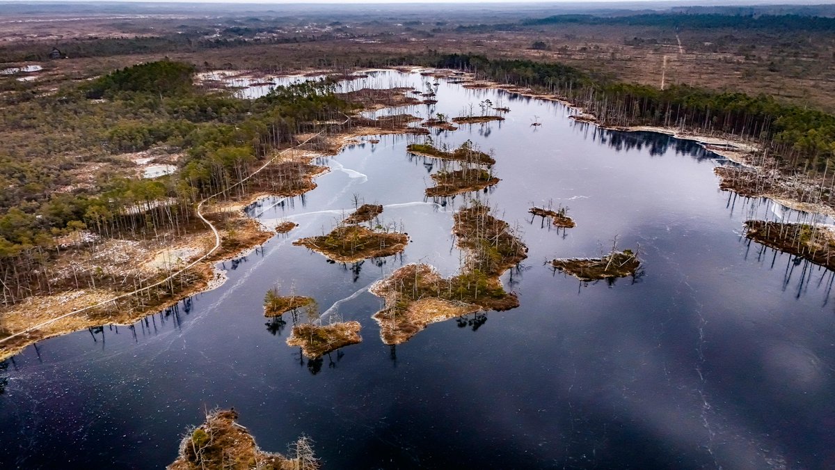 ai shity rohmah tweet media