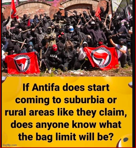 𝔸𝕕-ℍ𝕠𝕔 tweet media