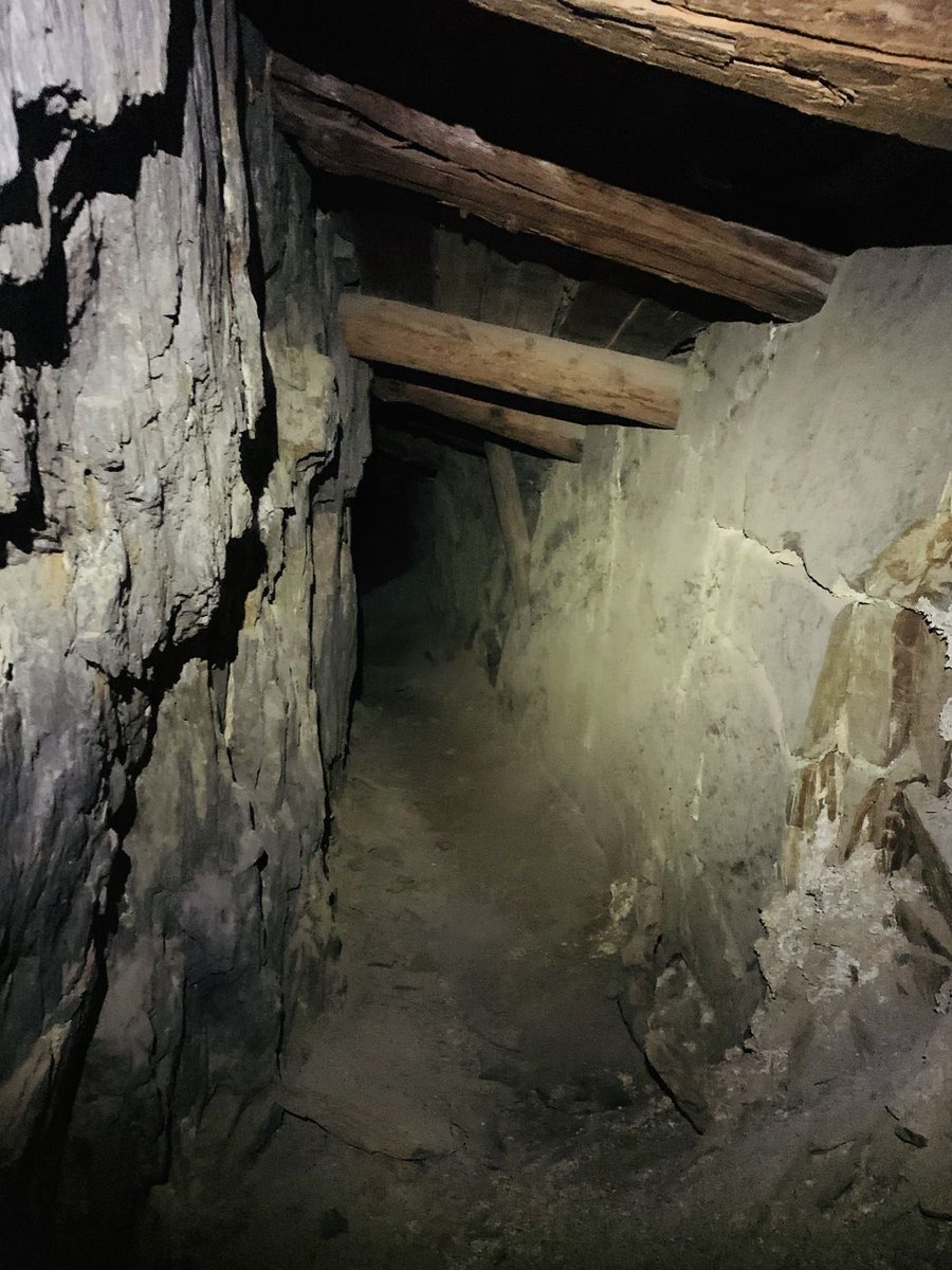 amalgamatomaton tweet media