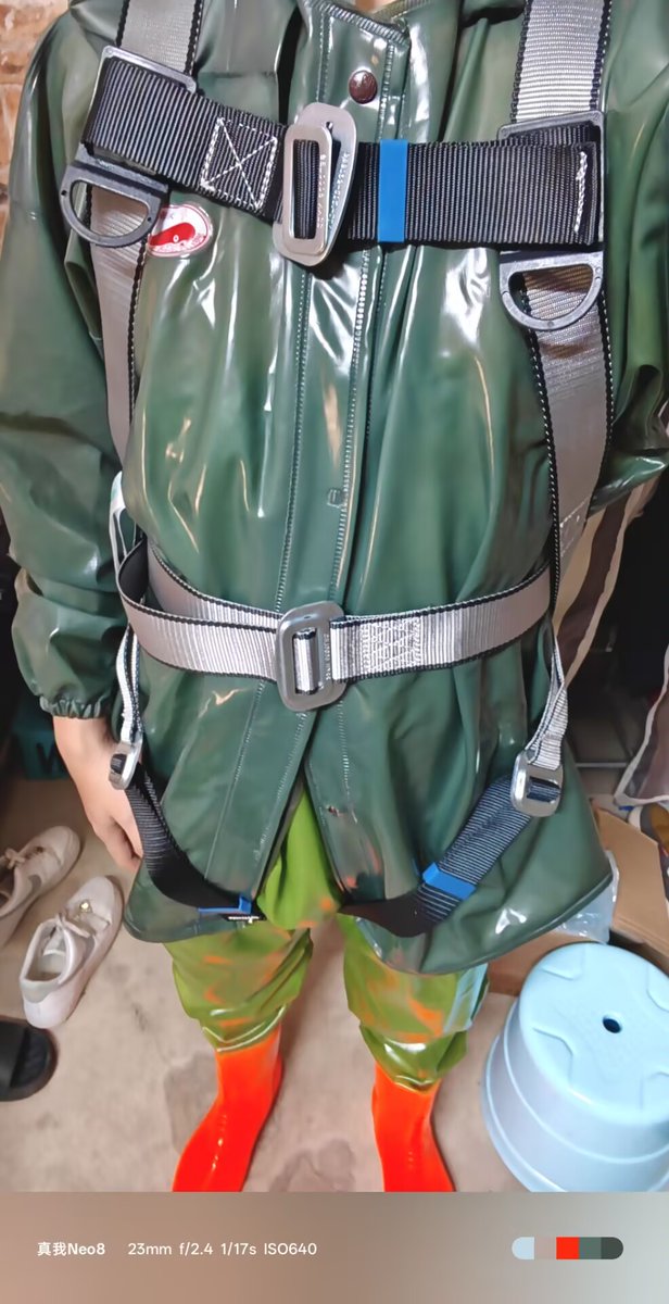 無鸣的海胶小屋 tweet media