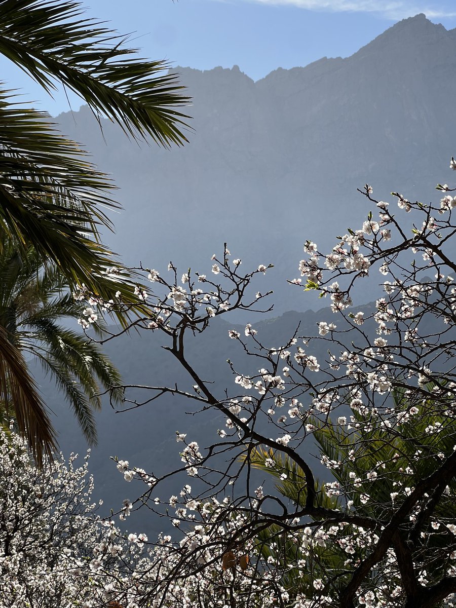 عُمر tweet media