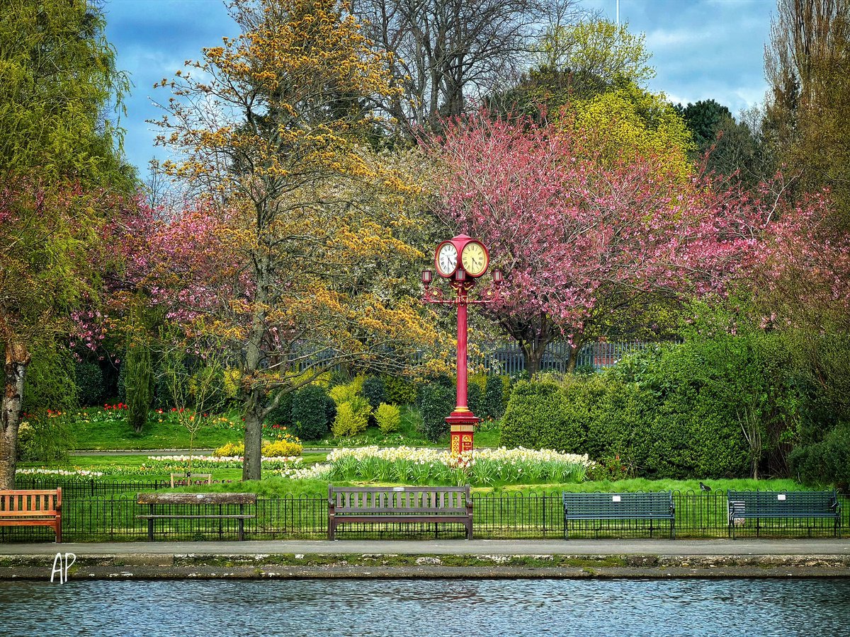 AbhaPaulina's tweet image. April cherry Blossoms 🌸 in Glasgow ✨🫶 #Glasgow #Spring @VisitScotland @Glasgow_Live