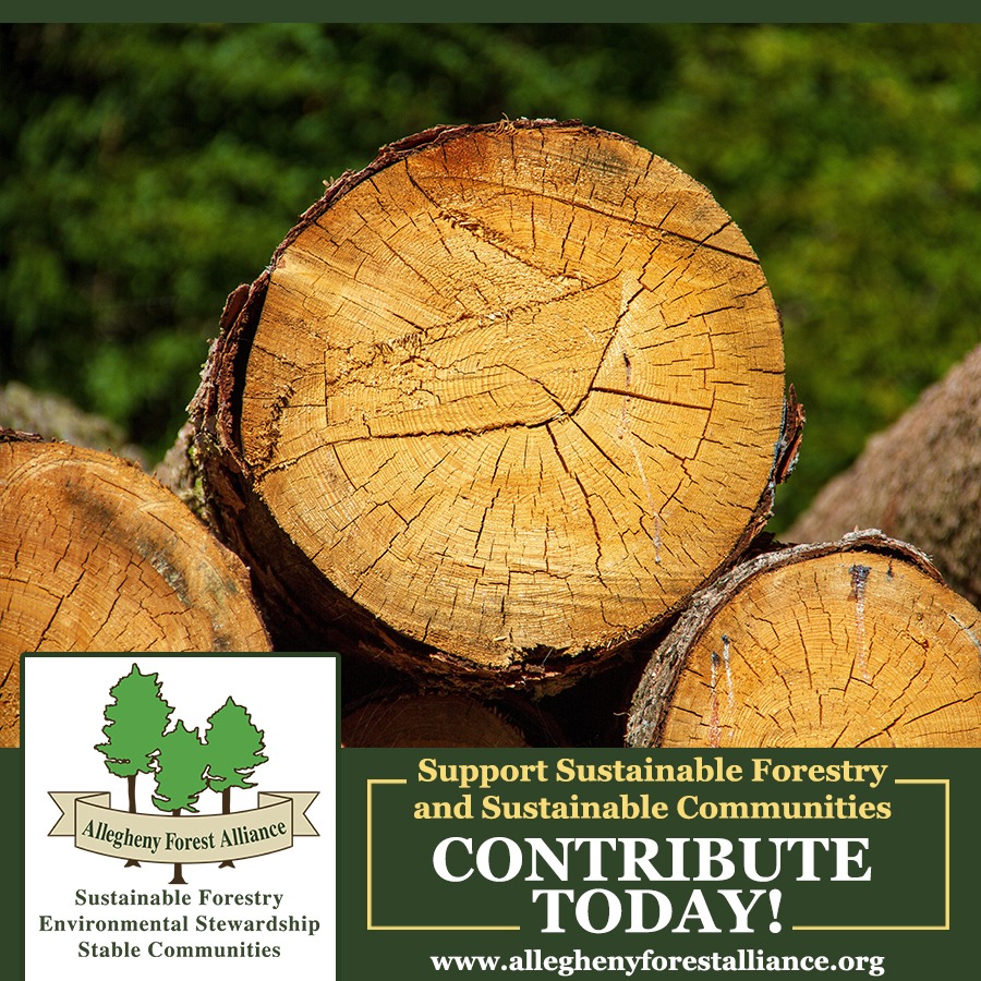 AFAAction tweet media