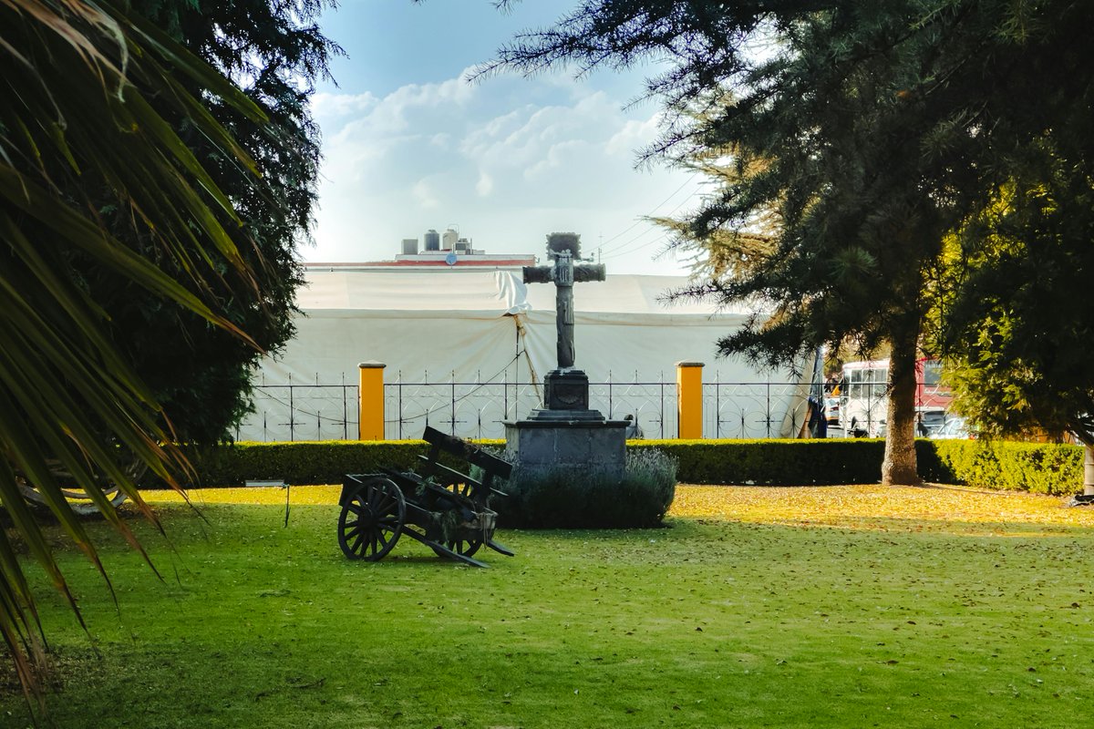 Tavo ovando tweet media