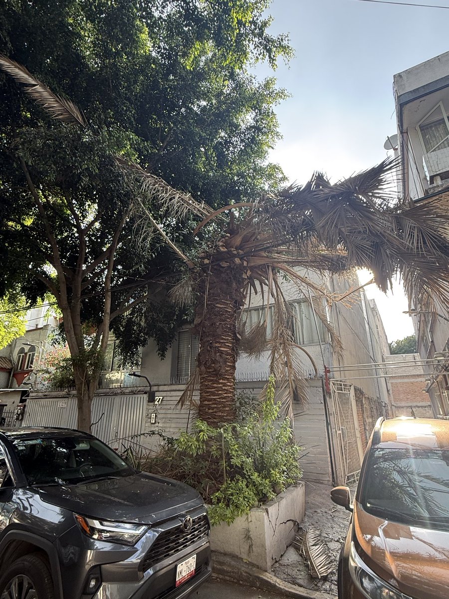 Sara Y Munoz tweet media