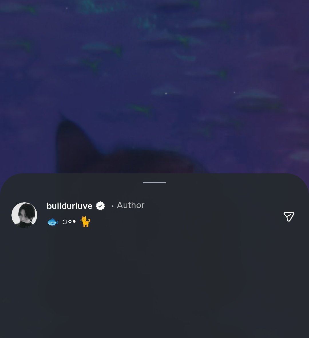 𝐁𝐮𝐢𝐥𝐝 𝐒𝐮𝐩𝐩𝐨𝐫𝐭 𝐈𝐍𝐃𝐈𝐀 🇮🇳 tweet media